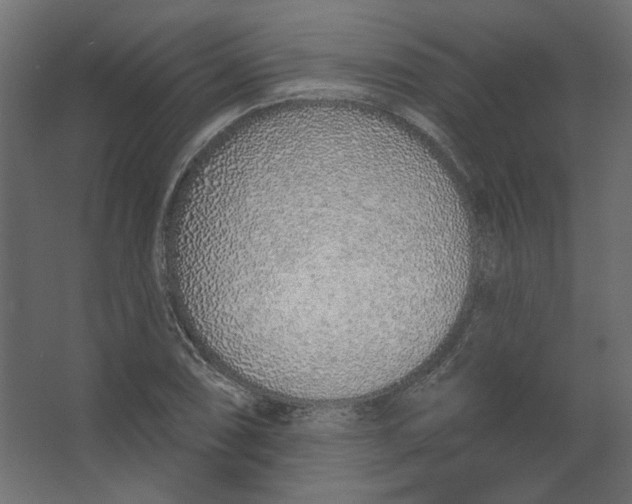 X0000067331074200604211903