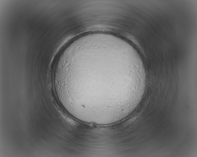 X0000067331075200604211903