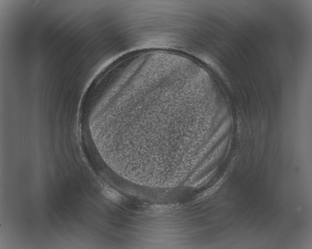 X0000067331077200604211903