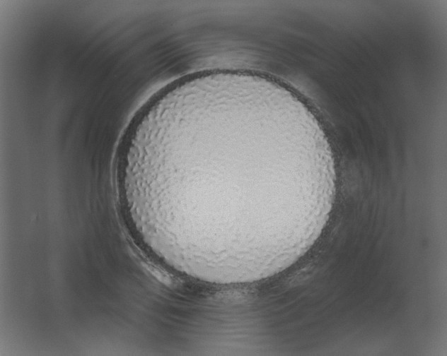 X0000067331078200604211903