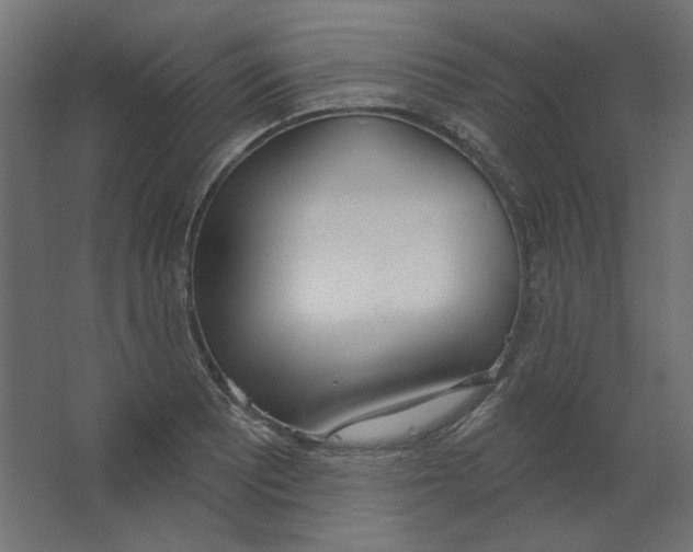 X0000067331081200604211903