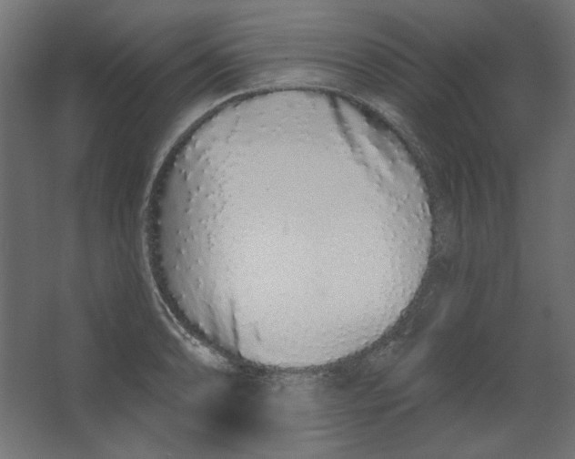 X0000067331086200604211903