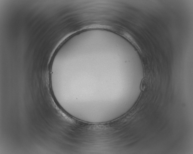 X0000067331092200604211903