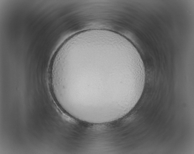 X0000067331094200604211903
