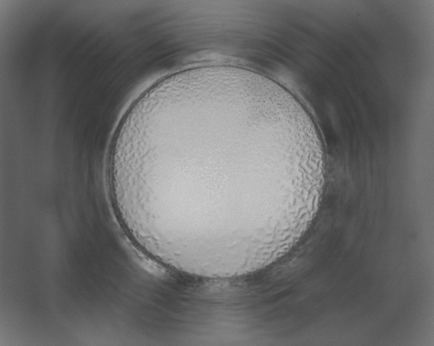 X0000067331098200604211903