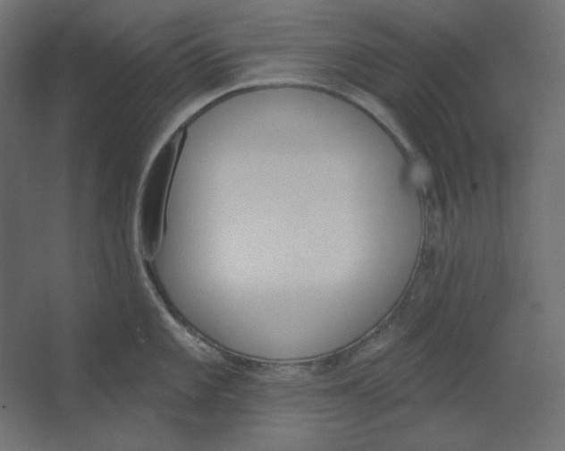 X0000067331101200604211903