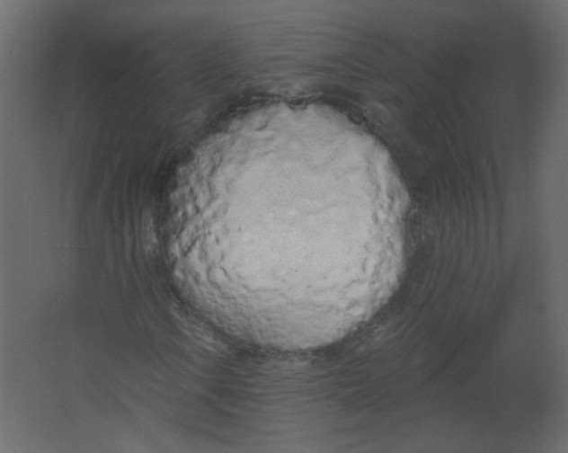 X0000067331106200604211902