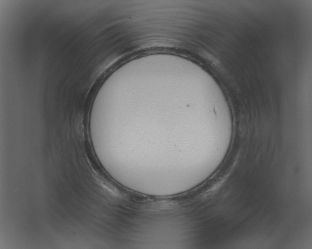 X0000067331113200604211902