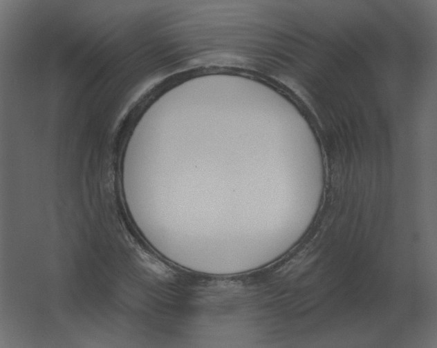 X0000067331115200604211902