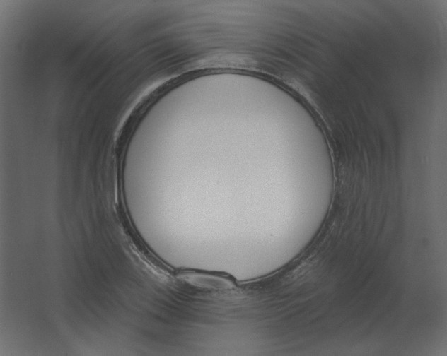 X0000067331123200604211902