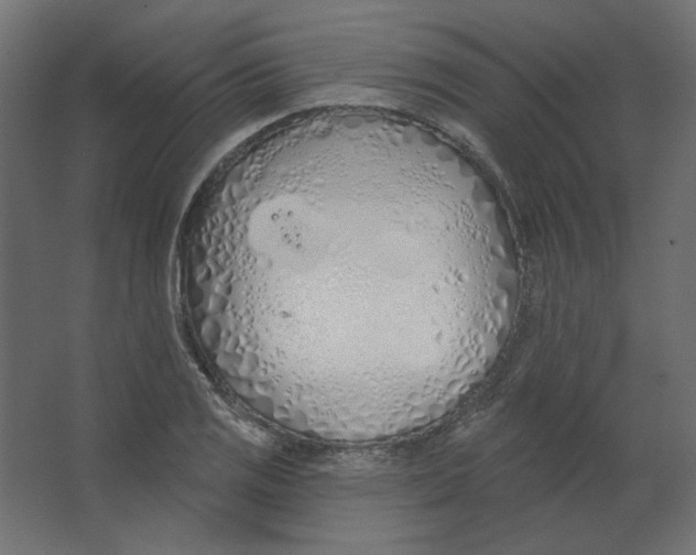 X0000067331125200604211902