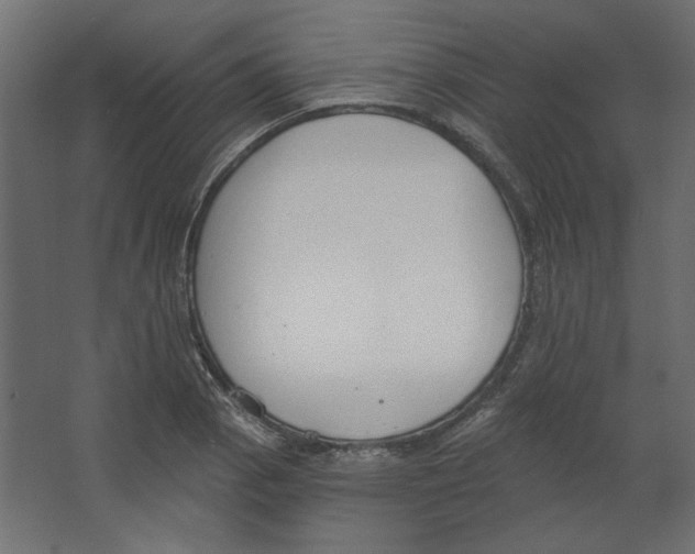 X0000067331129200604211902