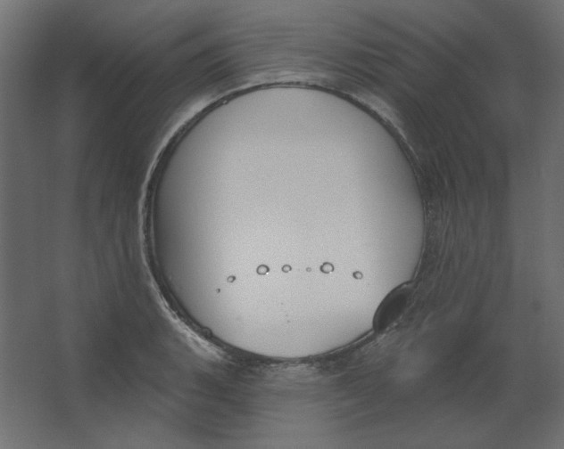 X0000067331135200604211903
