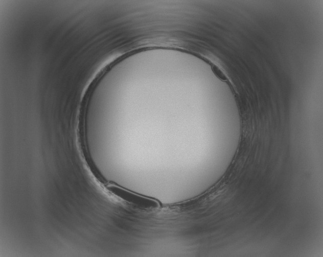 X0000067331139200604211903