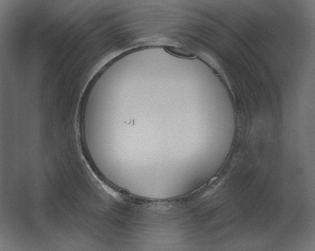 X0000067331141200604211903