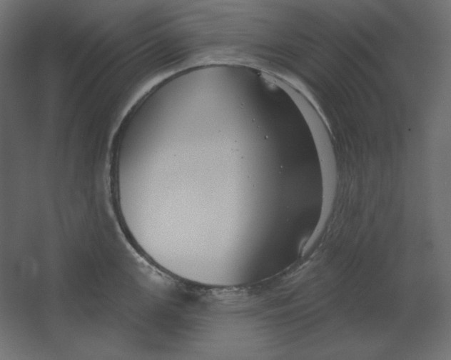 X0000067331147200604211903