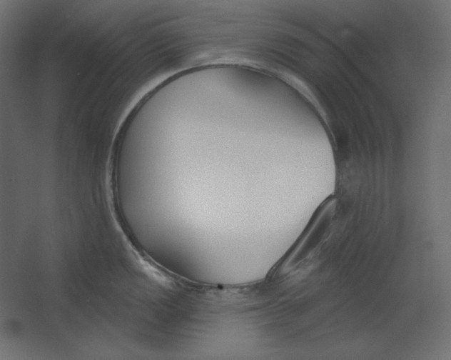 X0000067331149200604211903