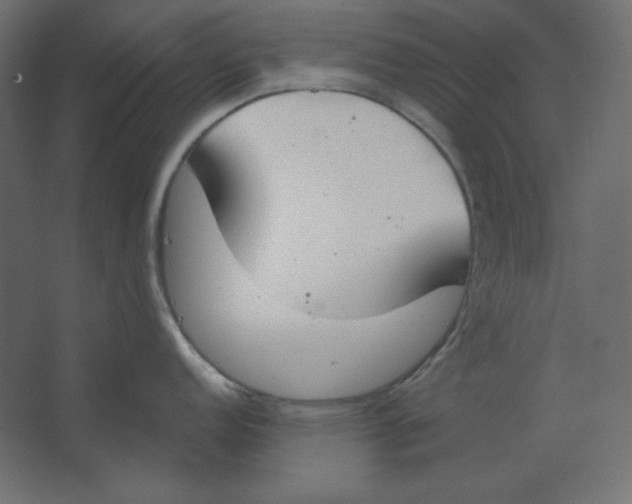X0000067331152200604211903