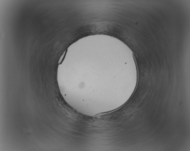 X0000067331153200604211902