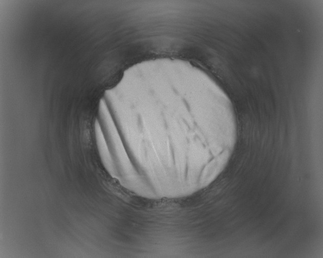 X0000067331154200604211902