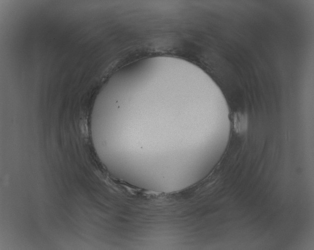 X0000067331155200604211902