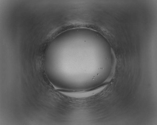 X0000067331157200604211902