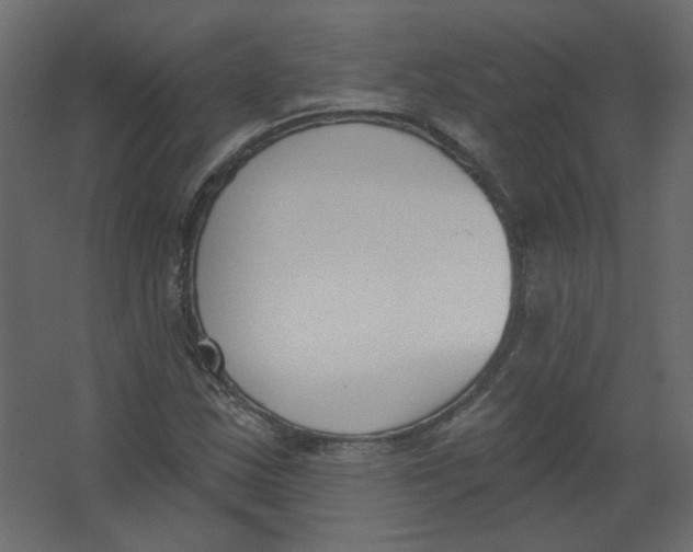 X0000067331163200604211902