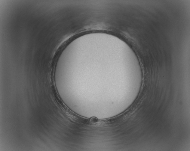 X0000067331166200604211902
