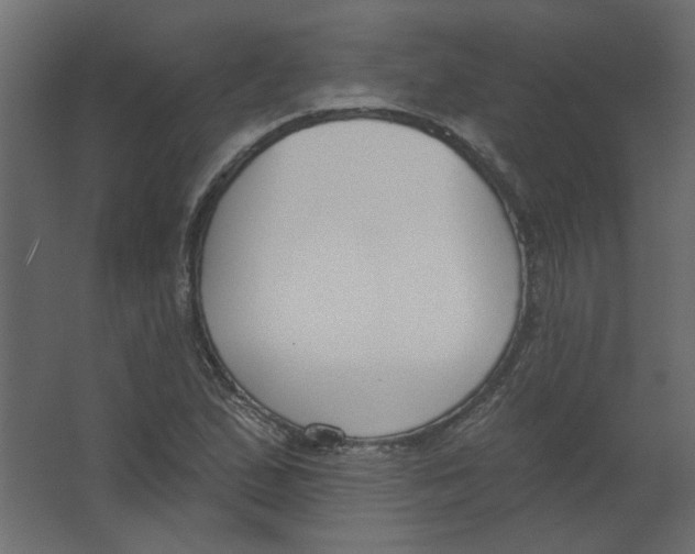 X0000067331167200604211902