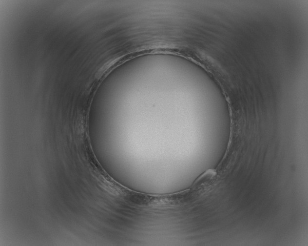 X0000067331169200604211902
