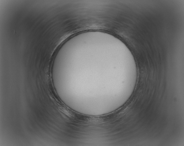 X0000067331170200604211902