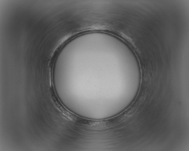 X0000067331171200604211902