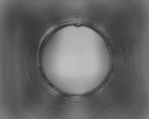 X0000067331172200604211902