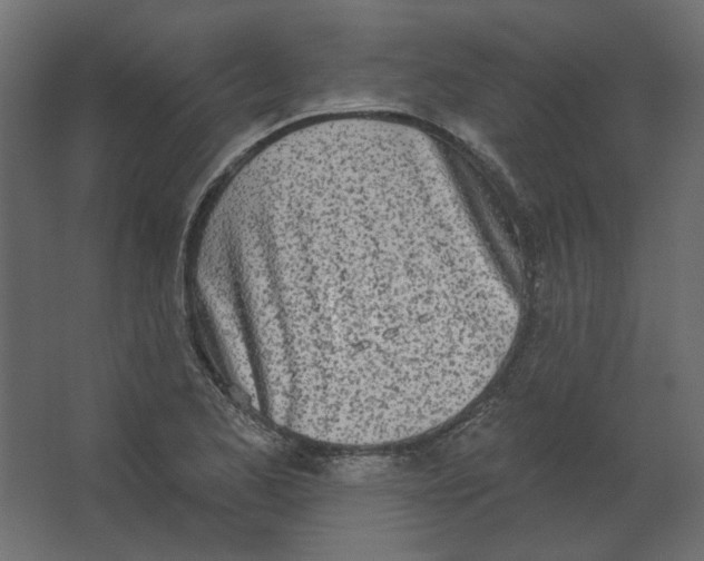 X0000067331173200604211902