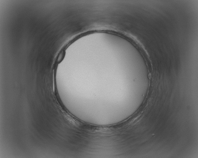 X0000067331175200604211902