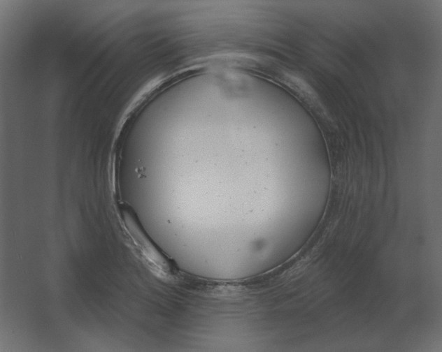 X0000067331180200604211902