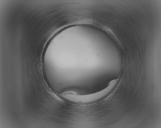 X0000067331184200604211901