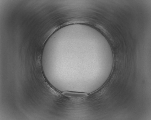 X0000067331185200604211901