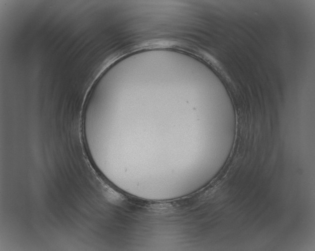 X0000067331186200604211901