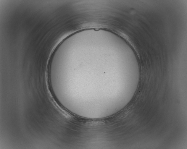 X0000067331187200604211901