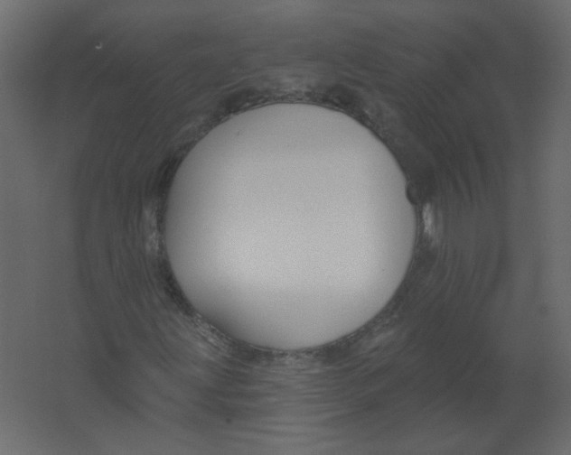 X0000067331203200604211900
