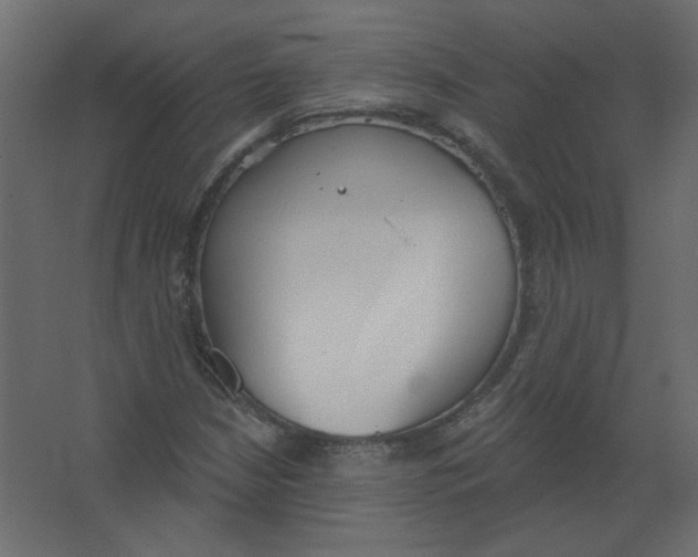 X0000067331210200604211901