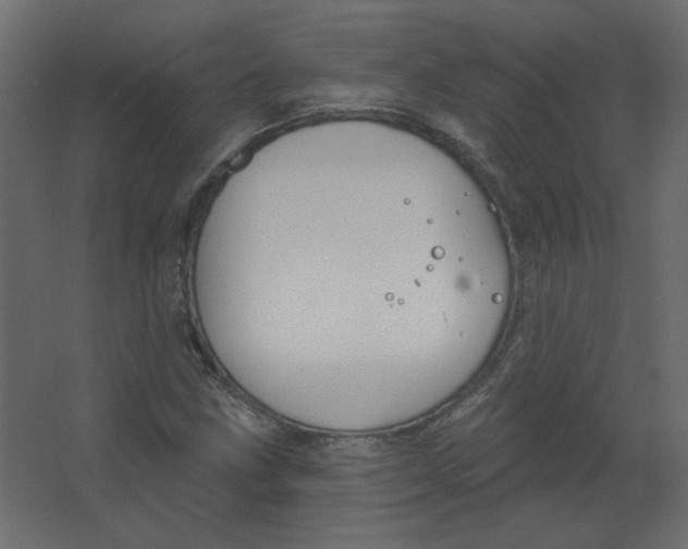 X0000067331211200604211901