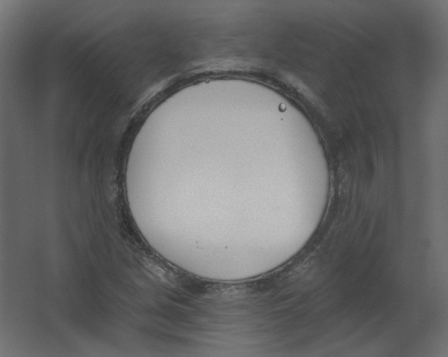 X0000067331213200604211901