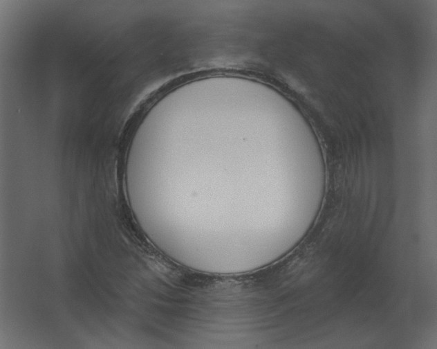 X0000067331214200604211901