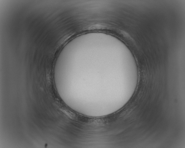 X0000067331217200604211901