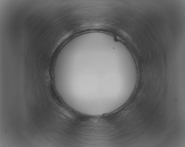 X0000067331218200604211901