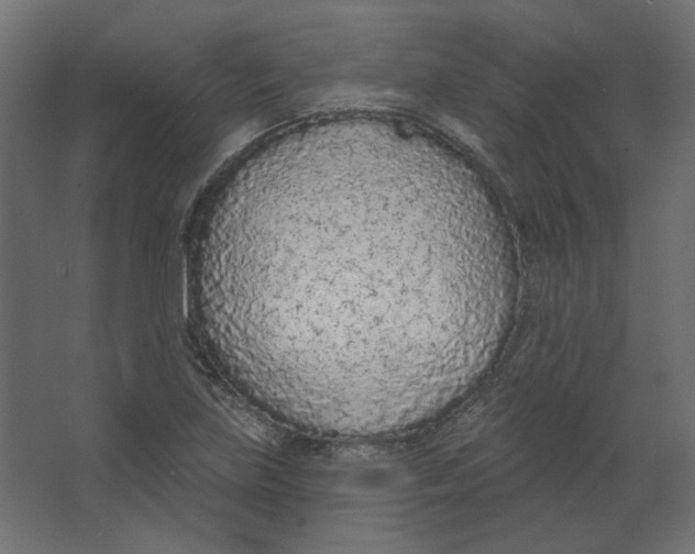 X0000067331219200604211901