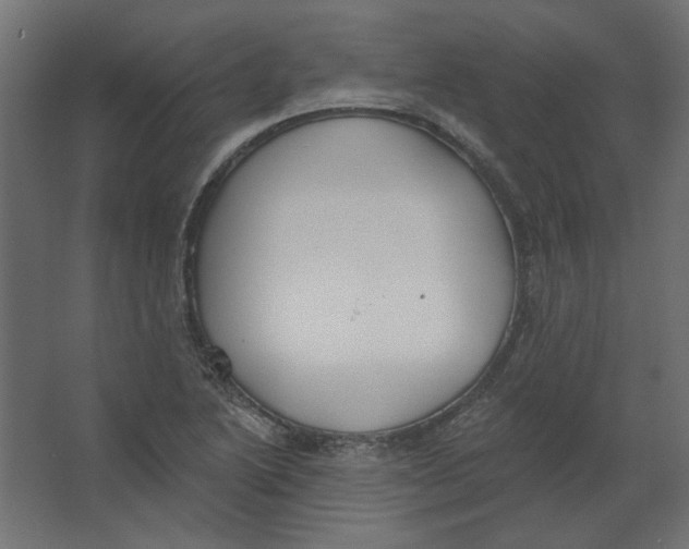 X0000067331222200604211901