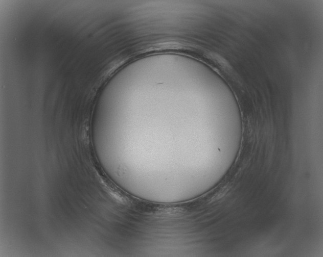 X0000067331225200604211901